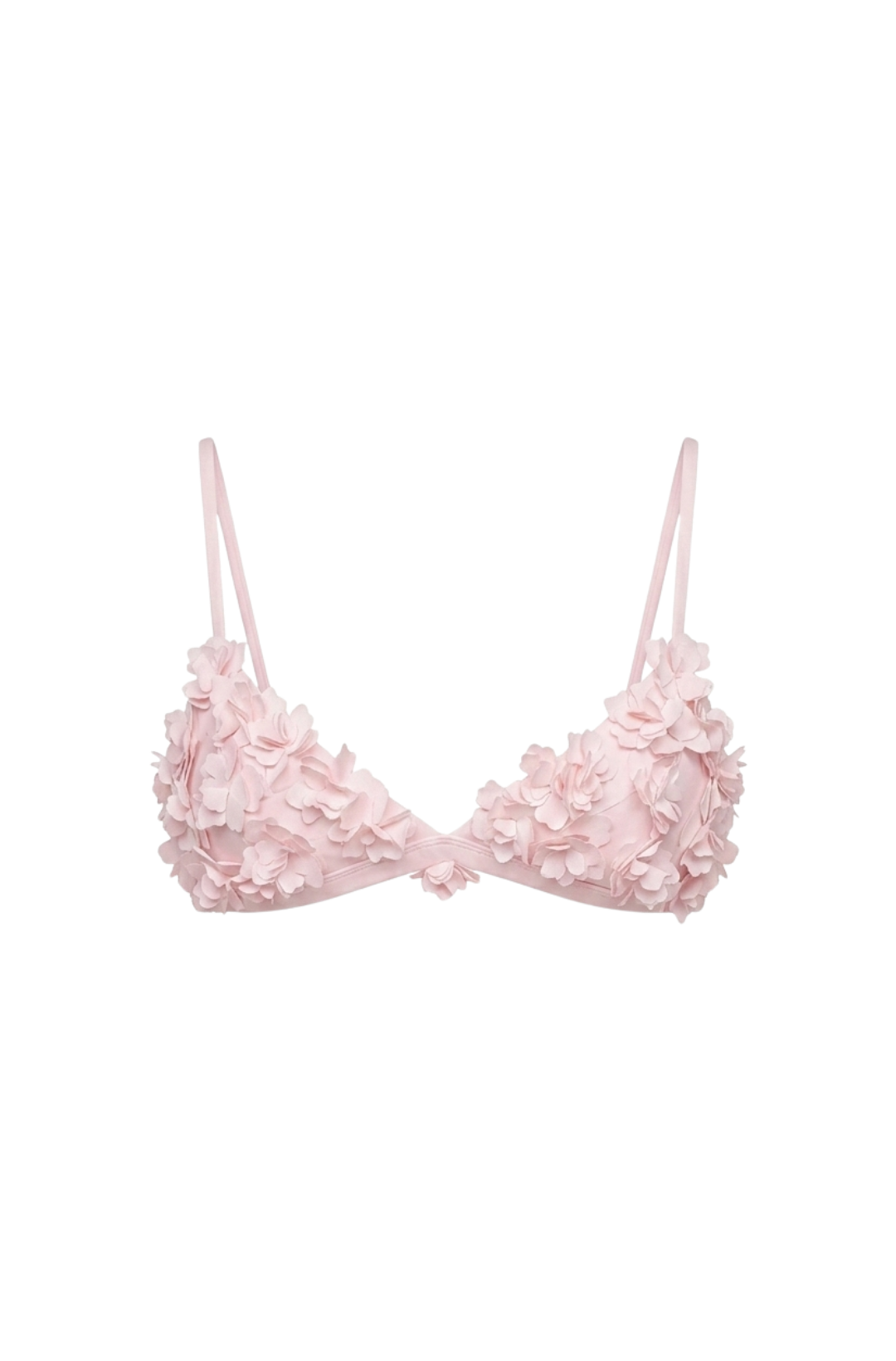 Top Sea Blossom  Spring Pink